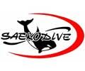 Saekodive