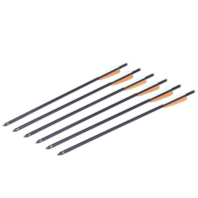 Crosman Carbon Yedek Ok (6 Adet)