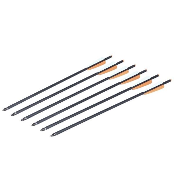 Crosman Carbon Yedek Ok (6 Adet)