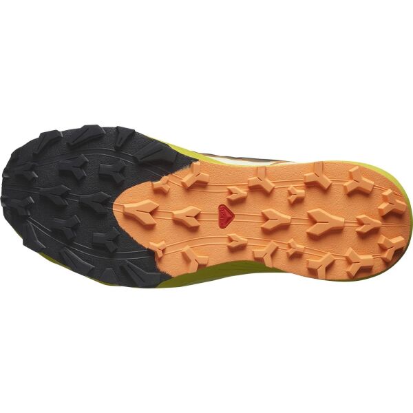 SALOMON THUNDERCROSS KOŞU AYAKKABISI