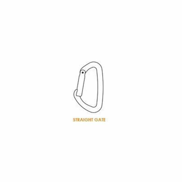CLIMBING TECHNOLOGY PASSION KARABINA SILVER