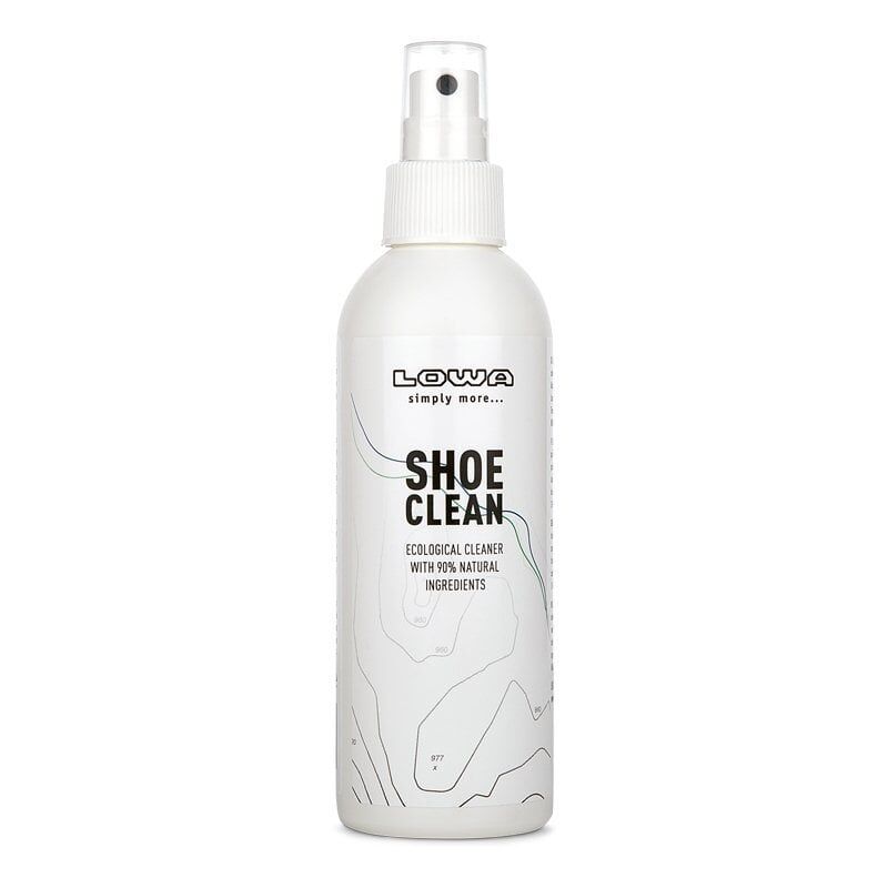 Lowa Shoes Clean