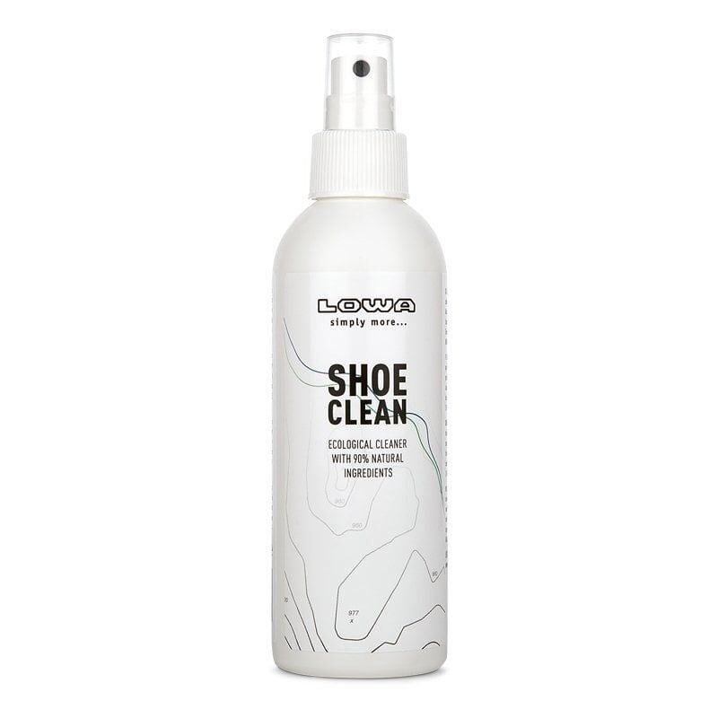 Lowa Shoes Clean