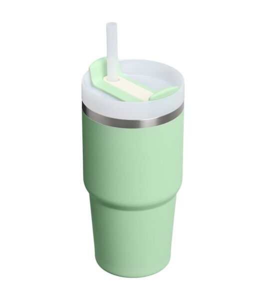 Stanley The Quencher H2.O FlowState™ Tumbler 0.60 Litre Pistachio