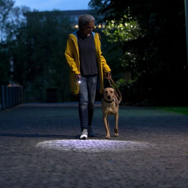 Ledlenser P14 El Feneri̇