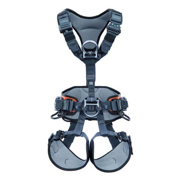 Ct Gryphon Harness Size