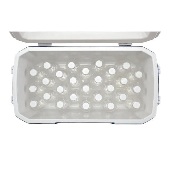 Coleman Poly-Lite 48 QT Taşınabilir Soğutucu Buzluk 45.7 Lt